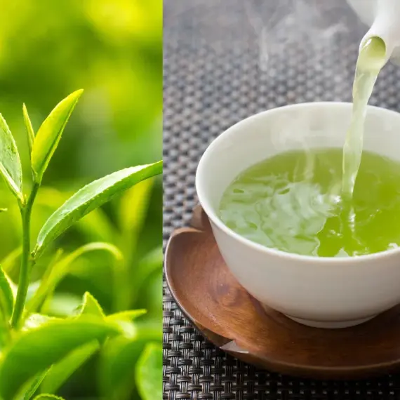 Bí Quyết Pha Trà Xanh Thái Nguyên Ngon – Giữ Trọn Hương Vị